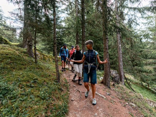 Tours accompagnés dans la région de Verbier