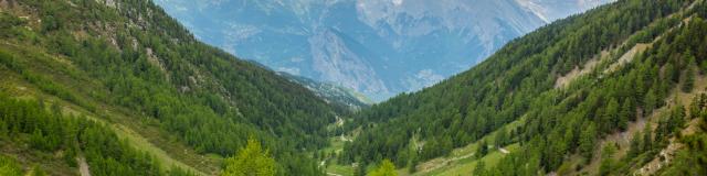 Découverte du Vallon D'arbi en été