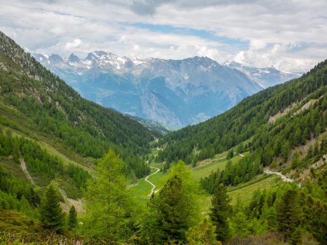 Découverte du Vallon D'arbi en été