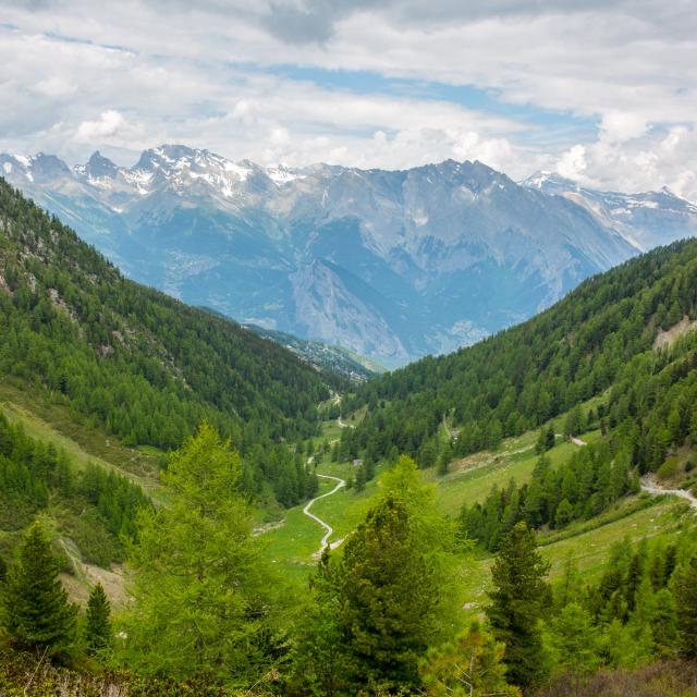 Découverte du Vallon D'arbi en été