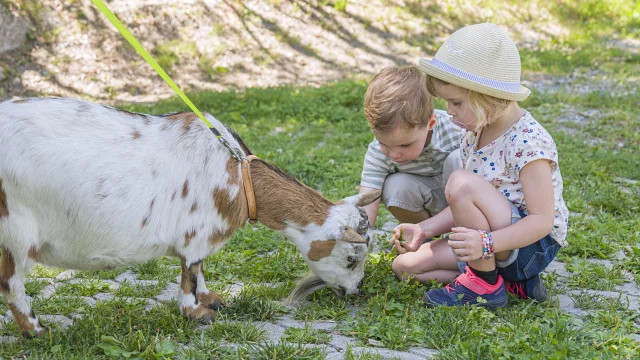 Activites Agrotouristiques Avec Enfants 28.07.2022 Fiorina 21